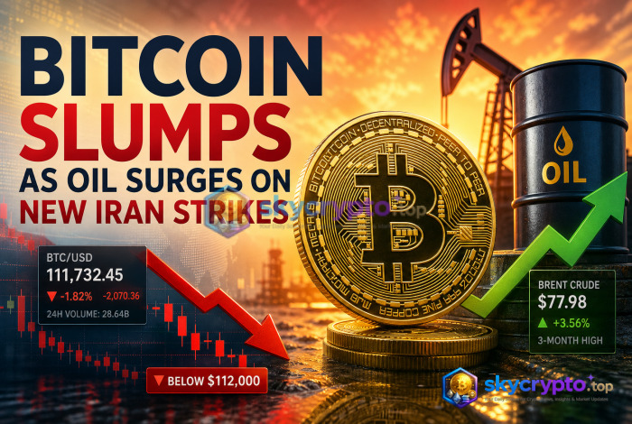 Bitcoin Slumps as Oil Surges on New Iran Strikes